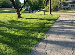 Jayleen N.'s lawn care service result