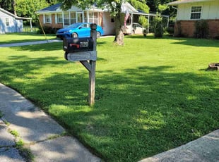 Wynn L.'s yard work service result