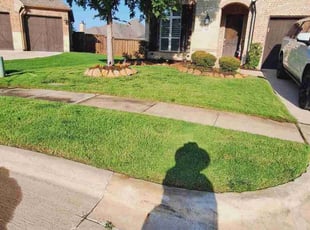 Richard C.'s lawn care service result