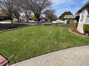 James C.'s lawn care services service result