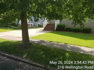 Teresa H.'s grass maintenance service result