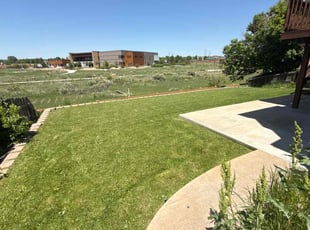 Aaron M.'s turf maintenance service result