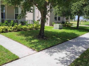 Timothy Z.'s grass maintenance service result