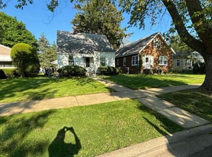 Alexis C.'s Long Grass Cleanup service result