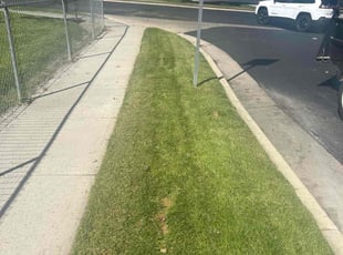 Jason B.'s lawn maintenance service result