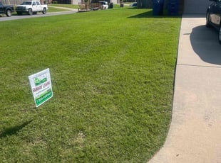Jeffrey H.'s lawn care service result