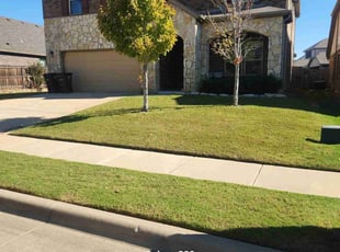 Donald G.'s lawn maintenance service result
