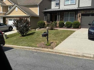 Sonia S.'s grass cutting service result