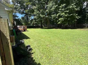 Jeff M.'s turf care service result