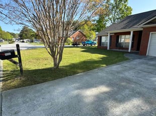 Virgil A.'s lawn service service result