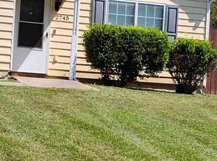 Tony K.'s lawn service service result