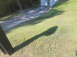 Julie B.'s lawn service service result