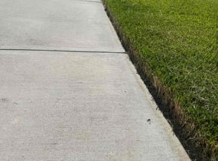 James C.'s lawn care services service result