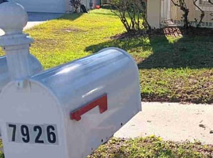 Joy A.'s turf maintenance service result