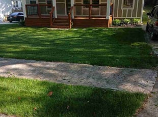 Marcia S.'s grass maintenance service result