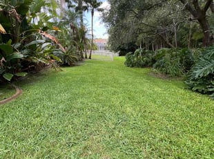 Eva B.'s lawn care services service result