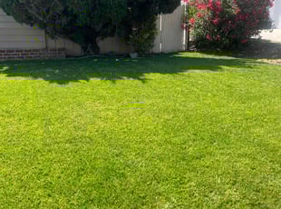 Ruby M.'s lawn care services service result