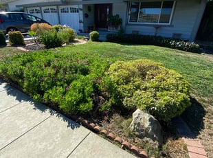 Deborah J.'s grass cutting service result