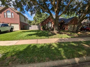 Angelo R.'s yard work service result