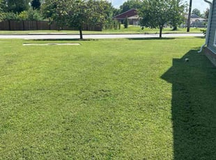 Angie J.'s lawn maintenance service result