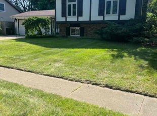 Arnold M.'s turf maintenance service result