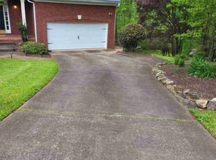 Seth M.'s lawn care service result