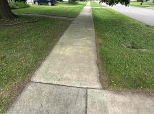 Nancy I.'s lawn service service result