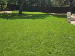 Emily H.'s lawn maintenance service result