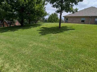 Thomas E.'s lawn care service result