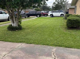 Marilyn W.'s grass cutting service result