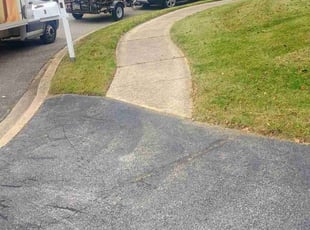 Robia G.'s lawn care services service result