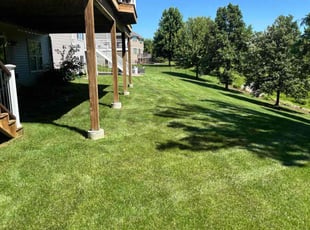 Andrew A.'s grass maintenance service result