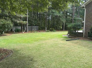 Kody A.'s lawn service service result