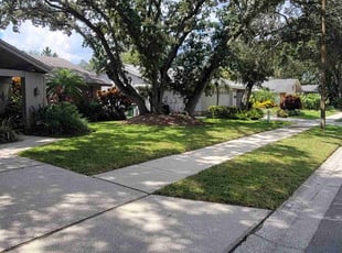 Carl C.'s turf maintenance service result