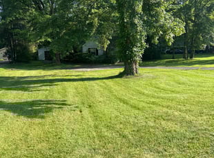 John M.'s turf care service result