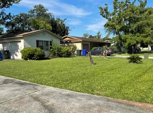 Arpit P.'s turf maintenance service result