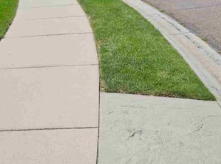Barbara H.'s grass maintenance service result