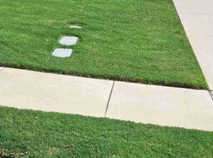 Joddie F.'s lawn care services service result