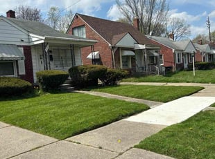 Anil S.'s turf maintenance service result