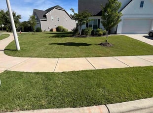 Lisa O.'s grass cutting service result