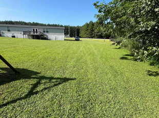 Linda H.'s turf maintenance service result