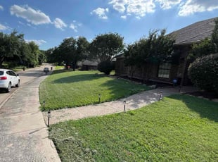 Carmen R.'s turf care service result
