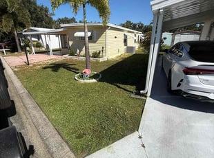 Philip C.'s grass maintenance service result