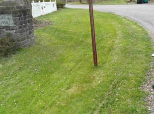 Anthony B.'s grass maintenance service result