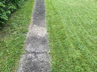Cheryle G.'s turf maintenance service result