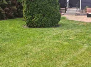 Melissa A.'s lawn service service result