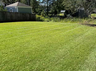 Michael G.'s turf maintenance service result