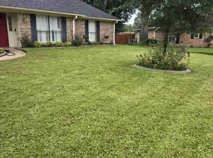 Jacobie L.'s lawn care service result