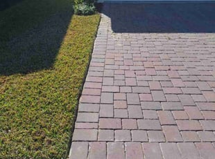 Thomas E.'s lawn care service result