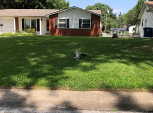 Kara E.'s lawn maintenance service result